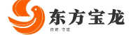 东方宝龙-专业的ICT运维服务商