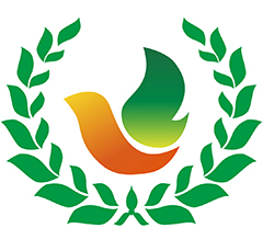 上海市青橄榄树公益基金会