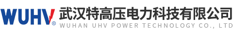 二次压降全自动测试仪-武汉特高压电力科技有限公司6