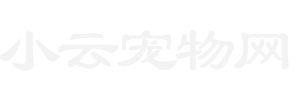 小云宠物网 - 分享宠物小猫,小狗,兔子,仓鼠饲养训练知识