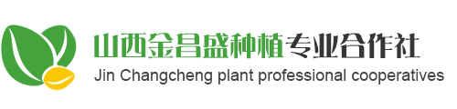 山西金昌盛种植专业合作社