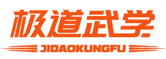 洛阳少儿武术散打体育培训武馆 - 洛阳极道武学少儿武术馆