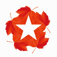 美国红点红枫,丛生红点红枫,火焰南天竹基地,火焰卫矛价格,泰安金枫园林绿化有限公司