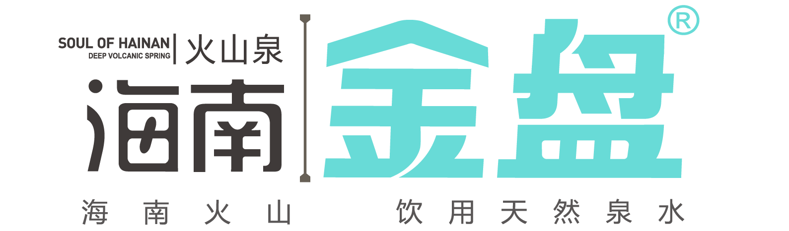 海南金盘饮料有限公司