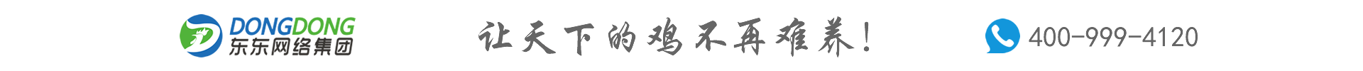 东东网络集团-东东养鸡网为您提供免费养鸡技术、鸡病防治咨询,中国网络养鸡联盟发起者