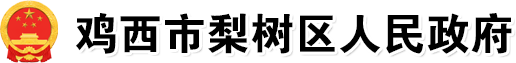 梨树区人民政府