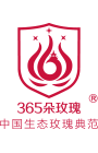 玫瑰花茶|玫瑰花茶批发|平阴玫瑰|365朵玫瑰-贝思特玫瑰