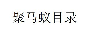 巨蚂蚁目录 - 免费网站导航大全_网址收录提交