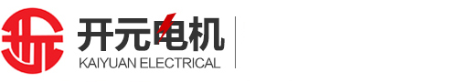 诸城开元节能科技有限公司/山东开元电机