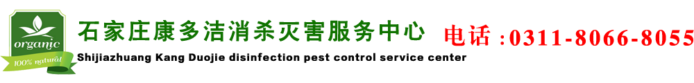 石家庄专业灭鼠服务_灭蟑螂服务_石家庄专业消杀服务_专业除四害公司_石家庄除虫公司_石家庄康多洁环保科技有限公司
