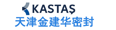 进口油封_进口密封件_KASTAS|卡斯塔斯-天津金建华密封件