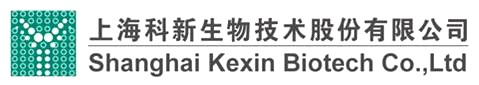 科新