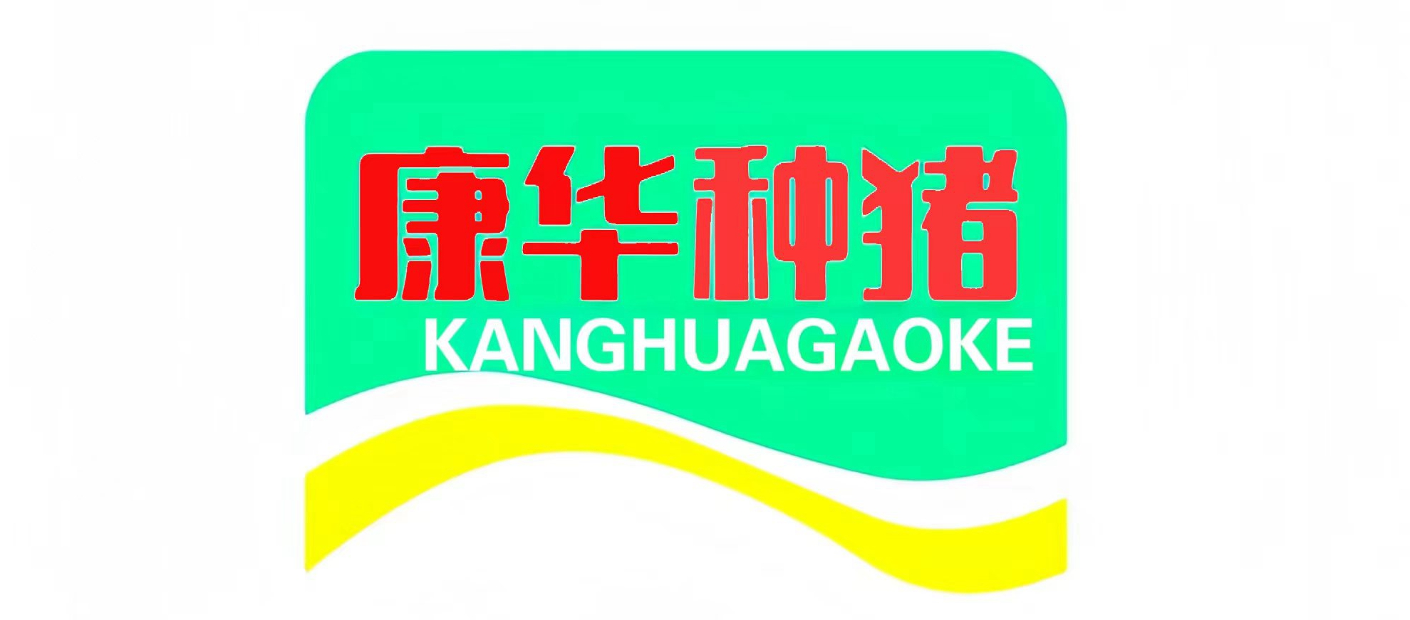 康华高科