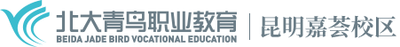 云南昆明北大青鸟学校-累计培养100万IT精英！