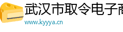 武汉市取令电子商务有限公司