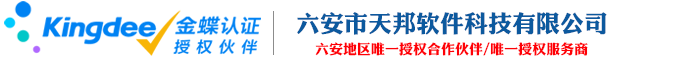 六安市天邦软件科技有限公司