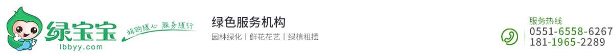 合肥绿宝宝园艺有限公司