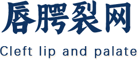 唇裂网