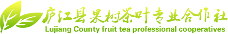 白云春毫茶叶_二姑尖毛峰茶叶-庐江县汤池果树茶厂