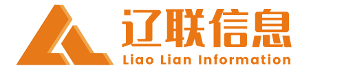 智慧辽联，共赢未来 - 财源大数据建设公共服务平台 - 辽联信息