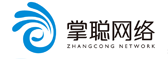 掌聪网络