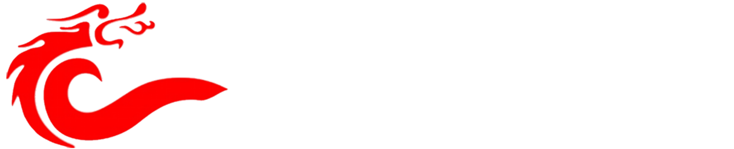 辽宁龙腾机电工程技术有限公司