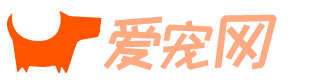 爱宠网 - 有爱有趣有用的宠物门户网站！