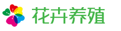 最新好sf传奇_找私服_免费传奇SF发布网