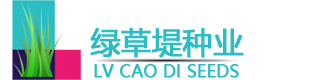 进口草坪种子批发供应商-绿草堤园林网-沭阳县三点水商贸有限公司