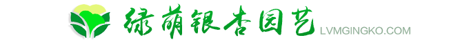 银杏树_银杏树价格_银杏树苗价格_银杏小苗基地_郯城县绿萌苗木园艺场