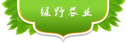 辽阳绿野农业科技有限公司
