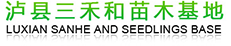 泸县三禾和苗木基地-泸县三禾和苗木基地官方网站