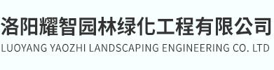 大叶黄杨球基地_北海道黄杨_高杆黄杨球柱_各规大叶黄杨_洛阳耀智园林绿化工程有限公司