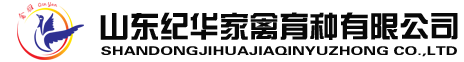 麻鸡苗--山东纪华家禽育种有限公司