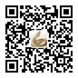 丁丁的汉教工具
