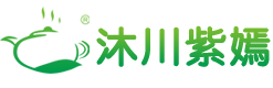 沐川紫嫣茶
