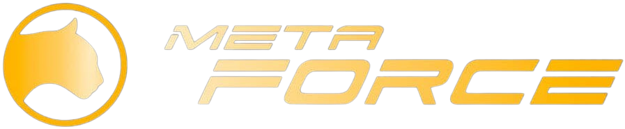 MetaForce原力元宇宙 | 虚拟与现实相遇的世界