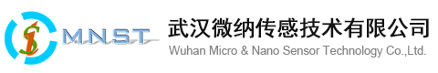微纳传感_武汉微纳传感技术有限公司_气体传感器厂家_MEMS芯片技术_气体感测解决方案_其它