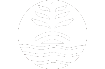首页 - 沐杉科技