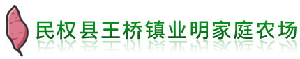 红薯苗_民权红薯苗_民权县王桥镇业明家庭农场