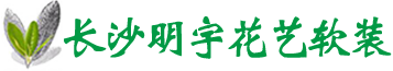湖南植物墙，植物墙，仿真树，塑石假山，长沙明宇花艺软装设计公-湖南植物墙，植物墙，仿真树，塑石假山，长沙明宇花艺软装设计公