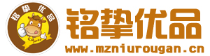 甄选内蒙古牛肉干_风干牛肉干批发零售网 - 铭挚优品