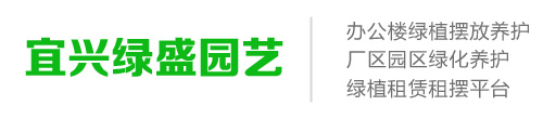宜兴绿盛绿植租赁平台-宜兴绿植租摆-绿植出租摆放-绿植销售-办公室绿化-厂区绿化养护