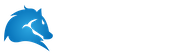 宁波网站建设 - 宁波骏腾网络