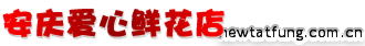 安庆鲜花预定-安庆鲜花店-安庆市花店|安庆爱心园鲜花店