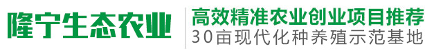 广西隆宁生态农业有限公司-广西隆宁生态农业有限公司