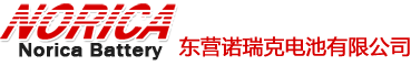 东营诺瑞克电池有限公司