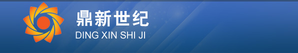 北京鼎新世纪软件技术有限公司