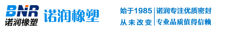夹布油封丨V型组合密封丨车削密封丨氟胶密封丨-BNR诺润橡塑