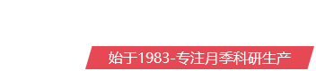 月季树苗繁育,专注产业37年-树状月季-古桩月季-月季树-月季苗 -南阳月季基地
